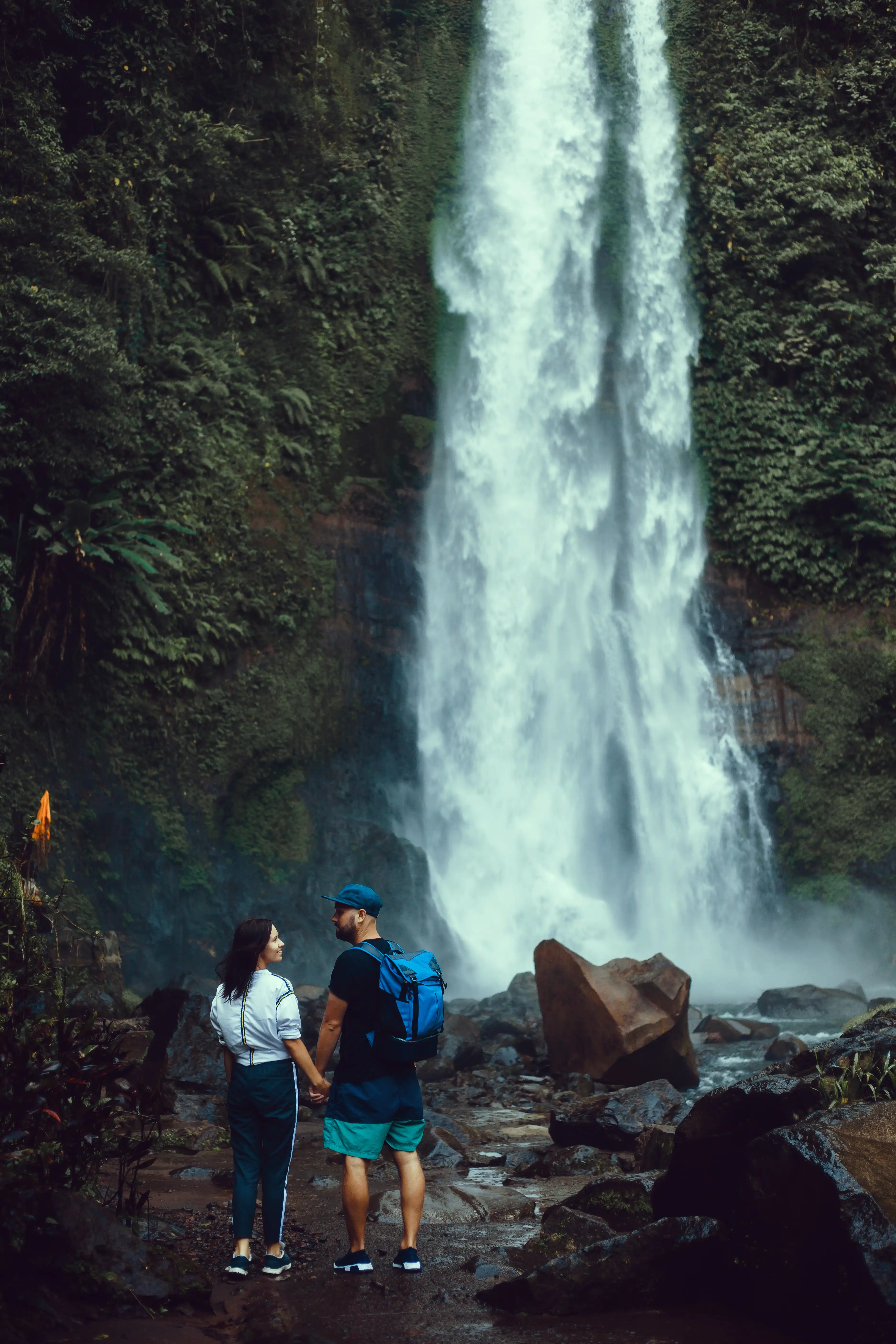 Wellness Experience